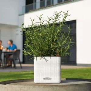 Lechuza self watering planter Cube 13380 Color 14 white flower pot greens herbs - Picture 1 of 7