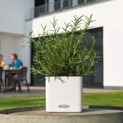 Lechuza self watering planter Cube 13380 Color 14 white flower pot greens herbs - Image 1 of 4