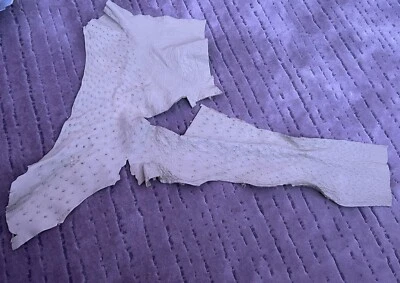 Genuine 100% Ostrich Exotic Leather Hide Head Upholstery Wallet Belt Bag Boot - Image 1 of 3