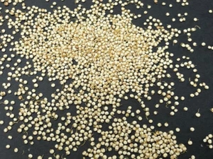 Royal Sprouted Organic Quinoa 10 pounds bulk pricing - Picture 1 of 3