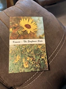 The Sunflower - State Flower of Kansas - Imagen 1 de 2