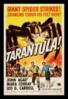 Tarantula! Horror Movie Poster image - BIG MAGNET 3.5 x 5 inches