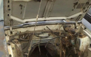 Hinges Hood 1979-82 Mustang GT Ford 5.0 79 80 81 82 1979 1980 1981 1982 - Picture 1 of 23