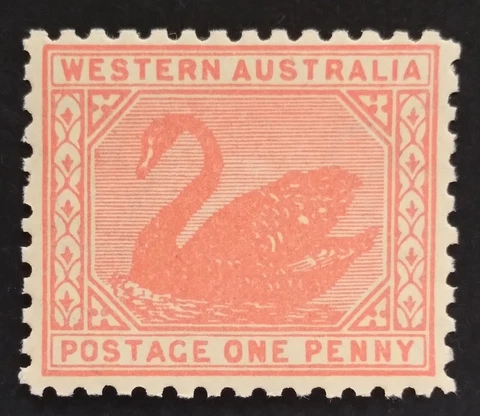 ACSC W14b - 1906 W.A 1d Rose Pink Swan Stamp MUH Wmk Upright Line Perf 11 - 372 Cover