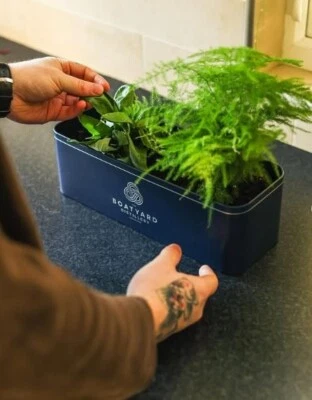 Boatyard Distillery Double Gin Planter – Reusable Metal Herb / Flower Planter - Image 1 of 4