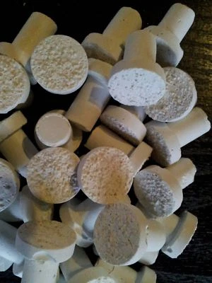 120 Ablegersteine Plugs ca. 2 cm Durchmesser - Bild 1 von 4