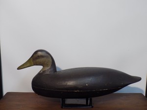 Ca 1920's Black Duck Capt Ellis Parker Bh New Jersey Holo - Orig Paint Great Cnd