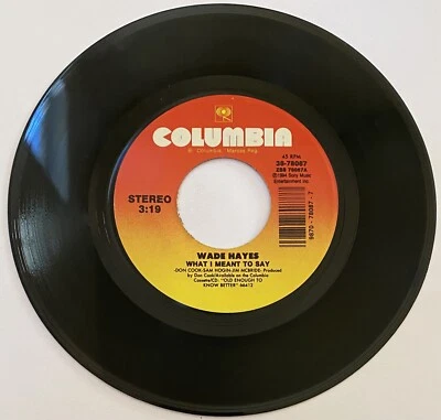 Wade Hayes - “ What I Mean To Say / Kentucky Bluebird “ 45 Vinyl Foto 1 de 2
