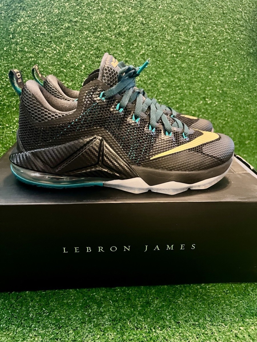 Nike LeBron 12 Low Carbon Fiber for Sale | Authenticity Nike LeBron 12 Low Carbon Fiber for Sale | Authenticity