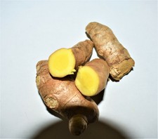 *3 Organic Fresh Mango Turmeric tubers Rare*