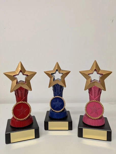 EXE ENGRAVING Star Award Trophäe Mitarbeiter der Woche Schulabgänger Abschlussball KOSTENLOSE Gravur