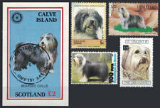 Frame it - Dog Breed Bearded Collie - 4 Stamps & 1 Souvenir Sheet - Very Fine