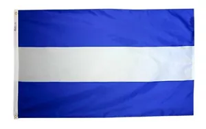 Nicaragua Zivilflagge 2x3 Annin 196180 NYL-GLO hochwertig hergestellt Expressversand - Bild 1 von 5