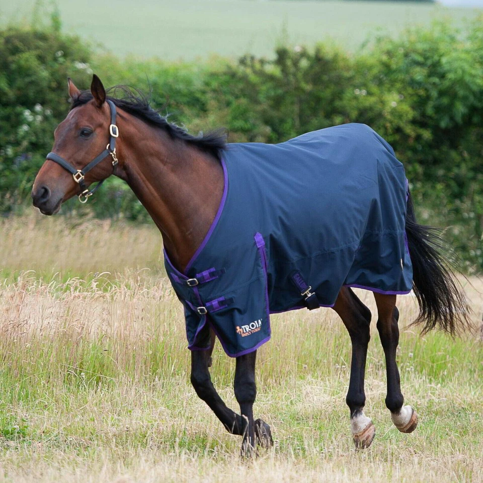 Gallop Lite-Weight Trojan Std Neck Turnout Navy Purple - Image 1 of 1