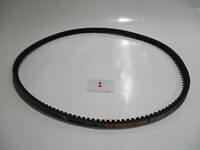 Keilriemen XPB 1280 Lw AVX 17 x 1302 La ConCar Rückenspannrollentauglich Keilriemen XPB 1280 Lw AVX 17 x 1302 La ConCar Rückenspannrollentauglich