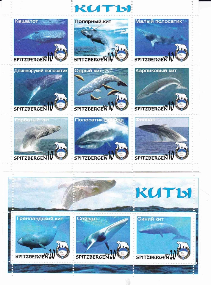 Полный лист марок Фауна полярных китов Шпицбергена 2016 - Изображение 1 из 1