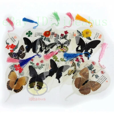 1/2/5/10PCS Film Protected Nature Butterfly Wings&Specimen Bodhi Leaf withTassel Foto 1 de 4