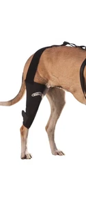 Walkabout Knee Brace for Dogs and Cats (Xxsmall Left 4.5-5.5") - Picture 1 of 12