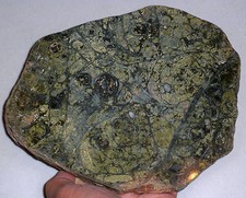 #1, "Wholesale" Rainforest Rhyolite Jasper Slab Gemstone Specimen From Australia