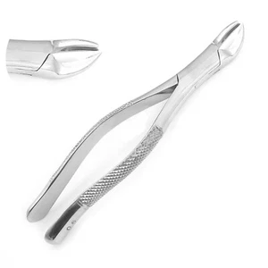 EXTRACTING FORCEPS # 90 DENTAL SURGICAL INSTRUMENTS - Picture 1 of 5