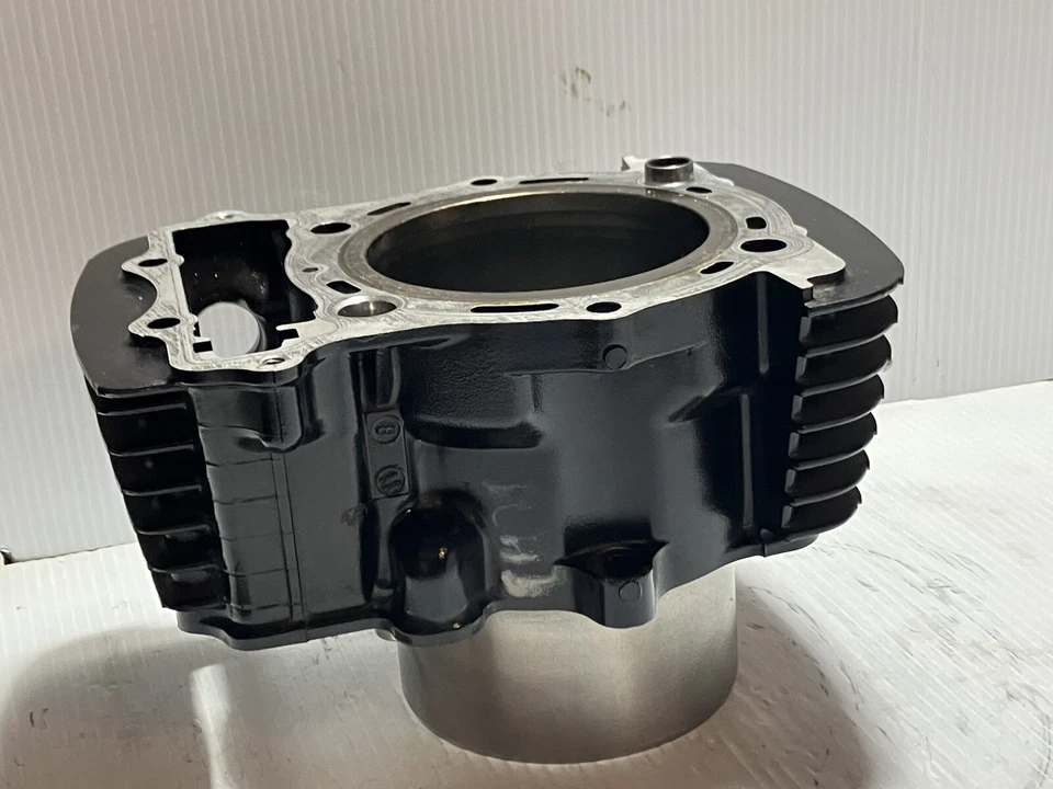 2008 Kawasaki Vulcan 1600 Cylinder Jug, Rear (Mean Streak) (OEM) - Image 1 of 4