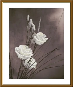 Hágalo usted mismo Kit de punto de cruz de lona tintada encanto rosas blancas arte artesanía regalo - Imagen 1 de 1