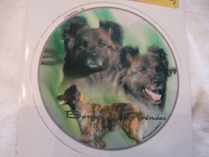 1 autocollant - motif chien  BERGER DES PYRENEES - Imagen 1 de 1