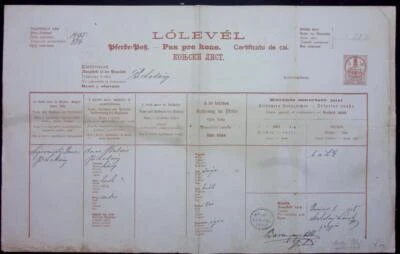 Hungary document Pferdepass revenue fiscal 1875 Austria fiscal - Image 1 of 2