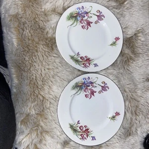*2 BEAUTIFUL VINTAGE FLORAL CHINA CAKE/TEA PLATES 17.5 cms - Picture 1 of 6