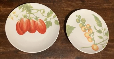 Conjunto de 2 pratos de salada de tomate porcelana Pillivuyt França 81/4" - Imagem 1 de 4
