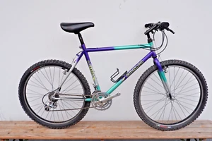 Ernesto Colnago MTB Mountainbike Shimano Deore XT Gruppe RH51cm 90er 90s steel - Bild 1 von 9