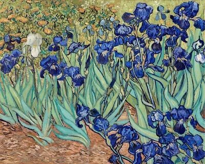 Pintura de flores de lirios Vincent Van Gogh impresión de giclee en papel de bellas artes Foto 1 de 4