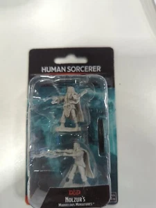 HUMAN MASCULINE HECHICERER D&D Nolzur's Marvelous Miniatures Wizkids WZK72628 - Imagen 1 de 1