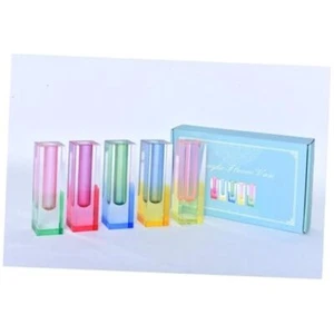 5 Pcs Acrylic Pillar Vase Set, Bud Vase for Pink, Purple, Green, Blue, Yellow - Picture 1 of 7