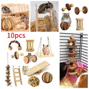 10x Kleintier Naturspielzeug Zubehör Holz behandeln Maus Hamster Papagei Ratte - Bild 1 von 12