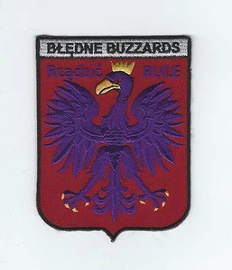 510th FIGHTER SQUADRON "BLEDNE BUZZARDS" patch - Picture 1 of 1