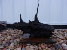 New listing
Driftwood Mounted X-Large H16xL18xW17 Freshwater Aquarium Aquascaping