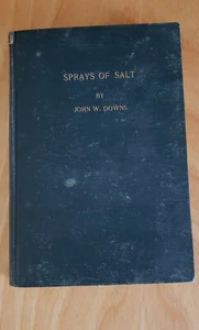 Salzsprays Hardcover Buch John W. Downs 1. Auflage 1944 - Bild 1 von 9