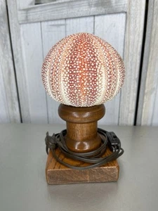 Vintage Sea Urchin Shell On Hand Carved Wood Base Lamp Nautical Unique Decor - Picture 1 of 6