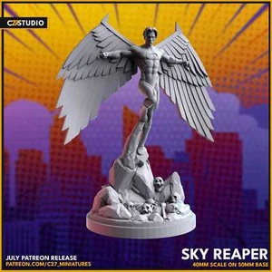 Sky Reaper - Picture 1 of 2