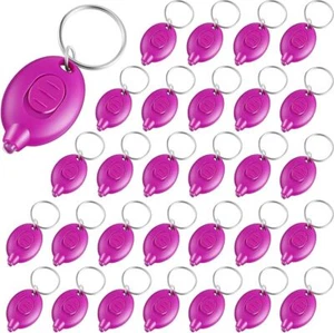50 Stck. Mini UV LED Schlüsselanhänger Taschenlampe 395 nm UV Licht Schwarzlicht Schlüsselanhänger Taschenlampe - Bild 1 von 8