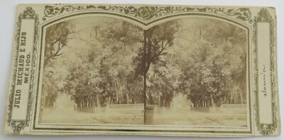 Мексика Хулио Мишо стереоизображение 1863 La Alameda Maximilian французское фото Iriarte - Изображение 1 из 2