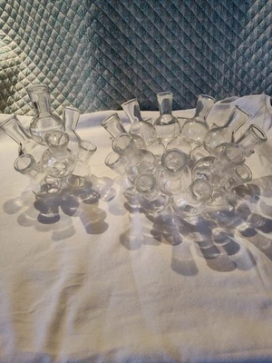 Estación de propagación de plantas o brotes de vidrio vintage Foto 1 de 3