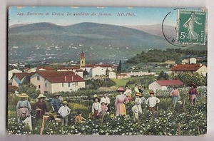 CPA GRASSE 06 - FLEUR FLOWER AGRICULTURE CUEILLETTE DU JASMIN VILLAGE 1910~B57 - Imagen 1 de 2