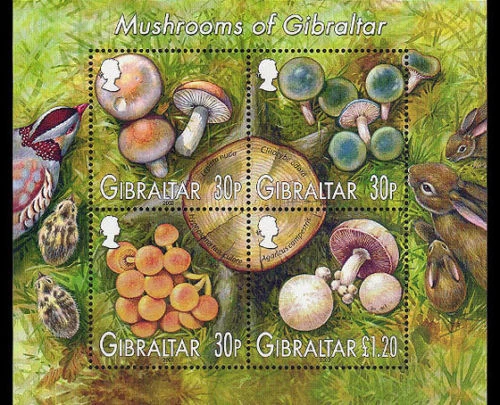Gibraltar Scott #953a mushrooms - Stamp Souvenir Sheet - MNH - Image 1 of 1