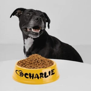Ciotola per cani personalizzata - Foto 1 di 7