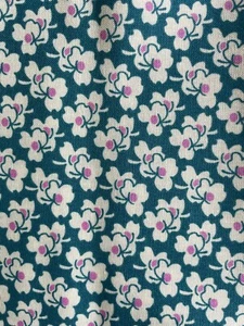 1/2 Yard Amy Butler Eternal Sunshine Quilt Craft Freespirit Fabric OOP HTF - Picture 1 of 1