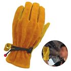 Cowhide Leather Work Gloves Thorn Resistant with Cotton Lining for Gardeners
