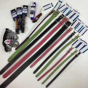 Lässiges Hundehalsband Paket Neu Mit Etikett Kette Leine - Bild 1 von 9