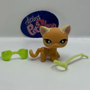 SHORTHAIR CAT #525 W/ Accessories - Authentic Littlest Pet Shop - Hasbro LPS - Picture 1 of 6